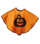 Preview: Cape pumpkin