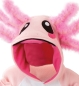 Preview: Axolotl OV