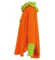 Preview: Poncho Neon