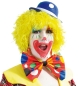 Preview: Perücke Clown, sort. Farben SE