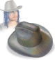 Preview: Cowboyhut Holo