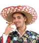 Preview: Sombrero