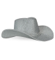Preview: Cowboy Glitzer silber