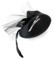 Preview: Fascinator