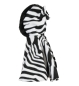 Preview: Cape Zebra