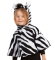 Preview: Cape Zebra