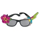 Preview: Brille Hawaii