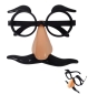 Preview: Glasses with nose and mustache