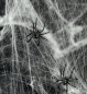 Preview: Deko-Spinnennetz