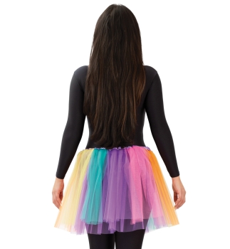 Tulle skirt rainbow