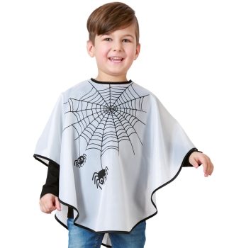 Cape spider