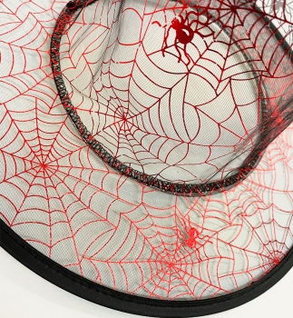 Hexenhut Spiderweb sortiert