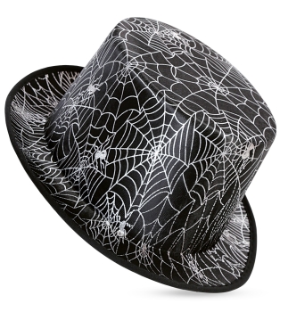 Zylinder Spinnennetz