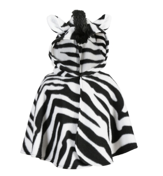 Preview: Cape Zebra