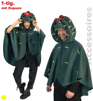 Kaktus