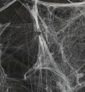Deko-Spinnennetz mit Spinne