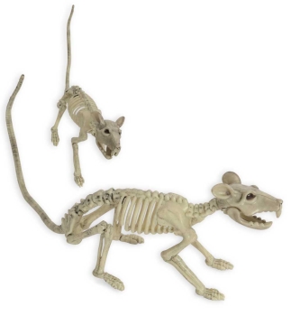 Deko-Skelett Ratte