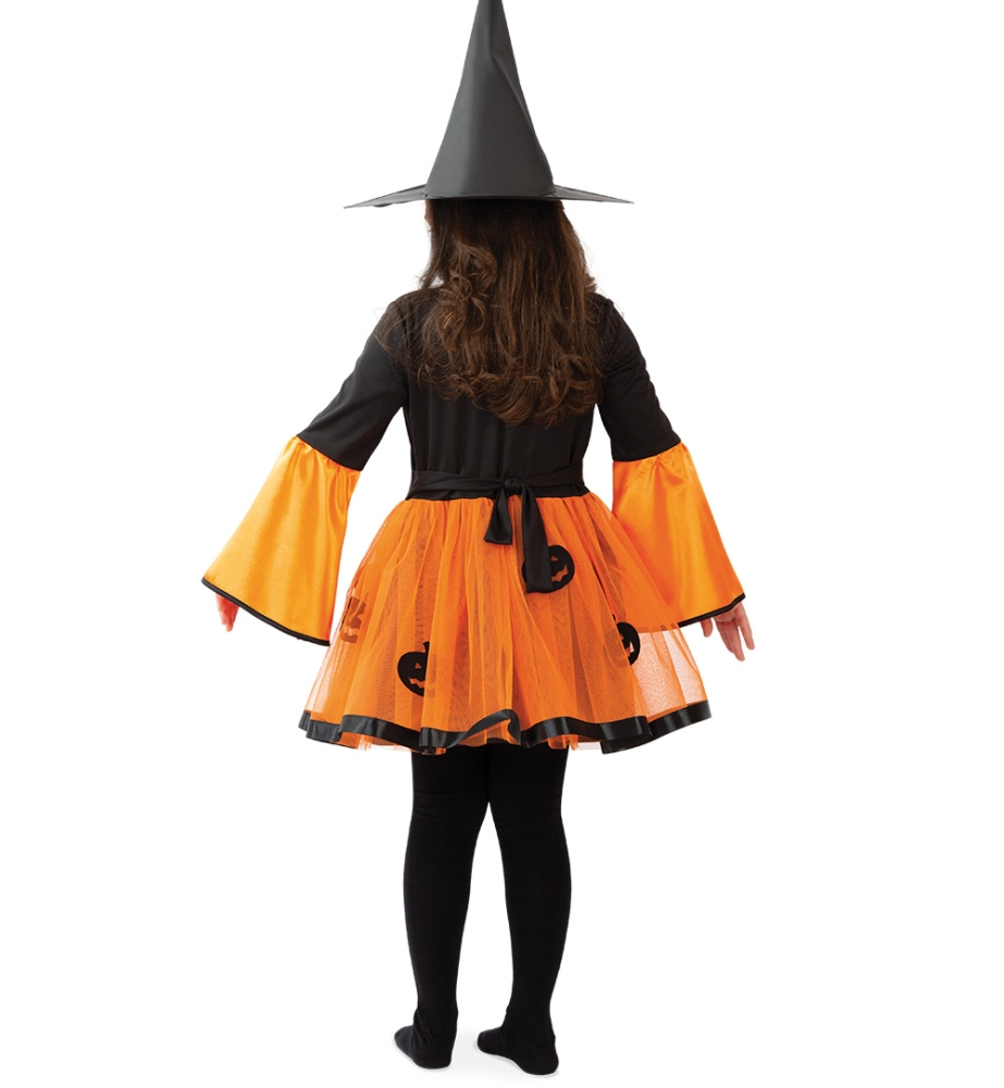 Pumpkin little witch