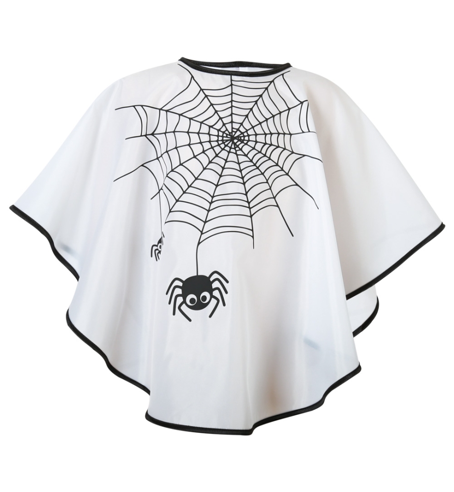 Cape spider