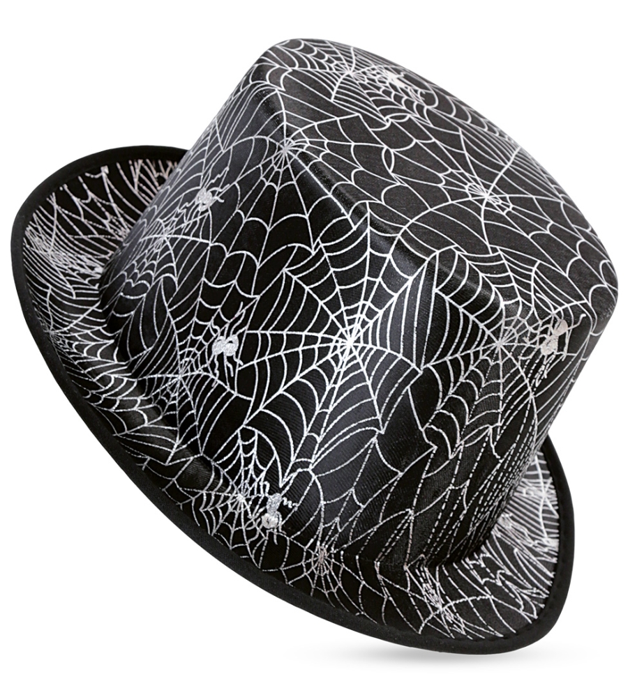 Zylinder Spinnennetz