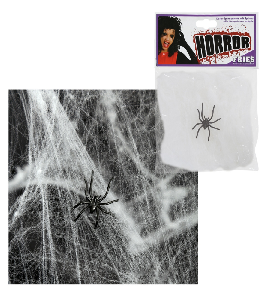Deko-Spinnennetz mit Spinne