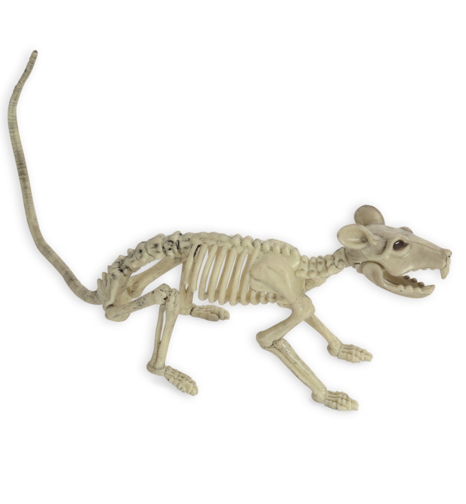 Deko-Skelett Ratte