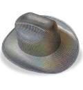 Cowboyhut Holo