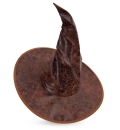 Hexenhut Lederoptik